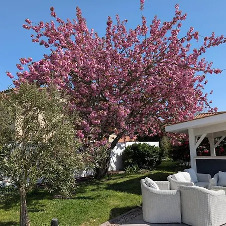 Maisonette Sur Le Bassin! Дом отдыха *
